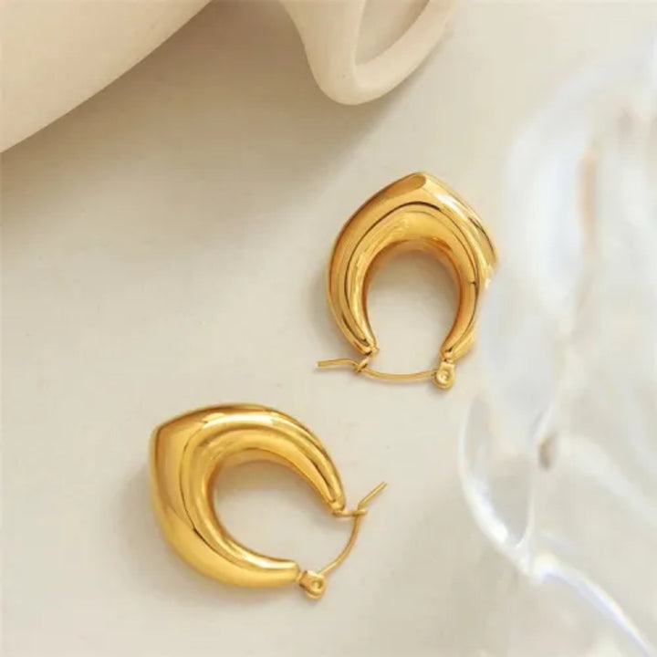 Elegant Chic Hoop Earrings