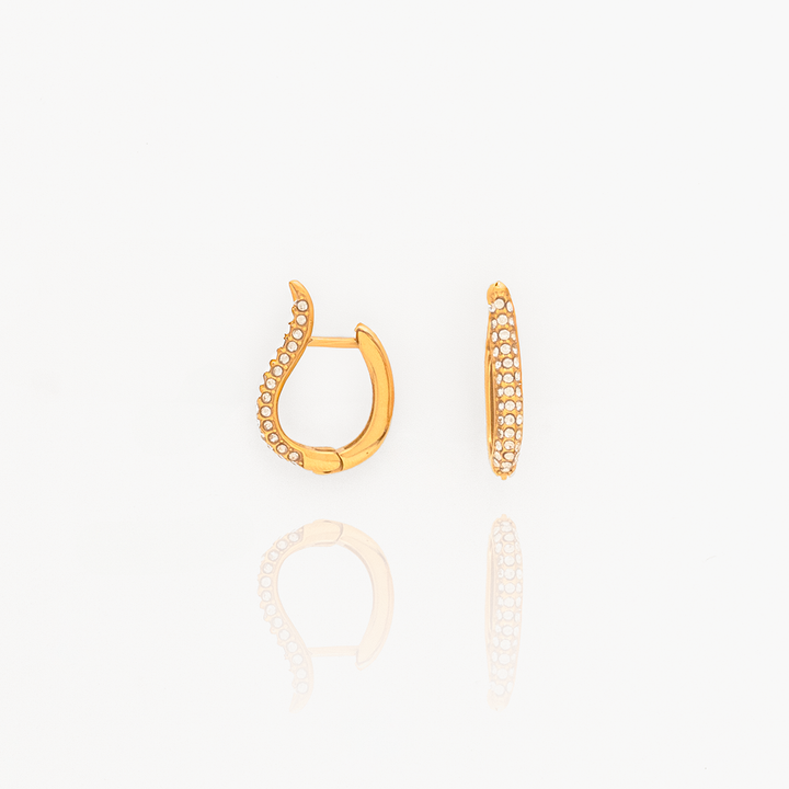 Sleek Stones Hoop Earrings